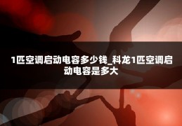 1匹空调启动电容多少钱_科龙1匹空调启动电容是多大
