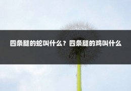 四条腿的蛇叫什么？四条腿的鸡叫什么
