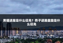 黑猫进屋是什么征兆?燕子进屋盘旋是什么征兆