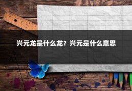 兴元龙是什么龙？兴元是什么意思