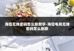 海信无线密码怎么输数字-海信电视无线密码怎么删除