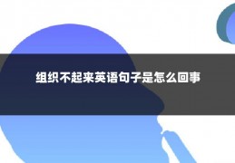 组织不起来英语句子是怎么回事