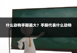 什么动物手脚最大?手脚代表什么动物