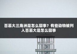 百慕大三角洲是怎么回事？有些动物被列入百慕大是怎么回事