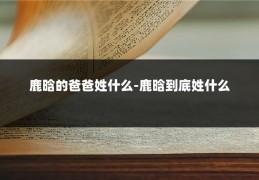 鹿晗的爸爸姓什么-鹿晗到底姓什么