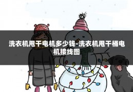 洗衣机甩干电机多少钱-洗衣机甩干桶电机接线图