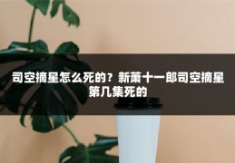 司空摘星怎么死的？新萧十一郎司空摘星第几集死的