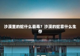 沙漠里的蛇什么最毒?沙漠的蛇靠什么生存