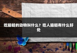 吃脑髓的动物叫什么？吃人脑髓有什么好处