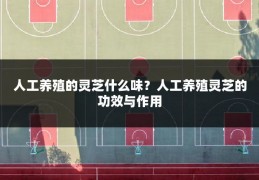 人工养殖的灵芝什么味?人工养殖灵芝的功效与作用