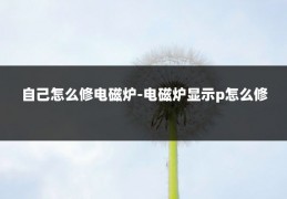 自己怎么修电磁炉-电磁炉显示p怎么修