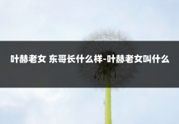 叶赫老女 东哥长什么样-叶赫老女叫什么