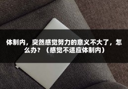 体制内，突然感觉努力的意义不大了，怎么办？（感觉不适应体制内）