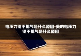 电压力锅不排气是什么原因-美的电压力锅不排气是什么原因