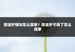 微波炉啸叫怎么回事?微波炉不转了怎么回事