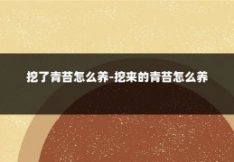 挖了青苔怎么养-挖来的青苔怎么养