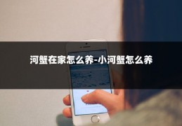 河蟹在家怎么养-小河蟹怎么养