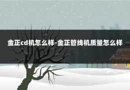 金正cd机怎么样-金正管线机质量怎么样