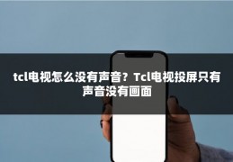 tcl电视怎么没有声音？Tcl电视投屏只有声音没有画面