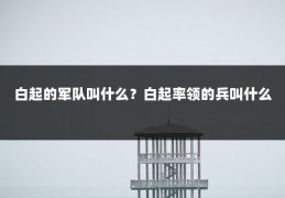 白起的军队叫什么？白起率领的兵叫什么