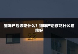 猫咪产后该吃什么?猫咪产后该吃什么猫粮好