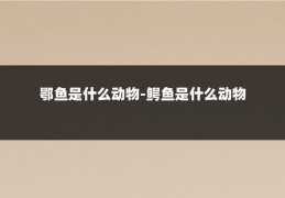 鄂鱼是什么动物-鳄鱼是什么动物