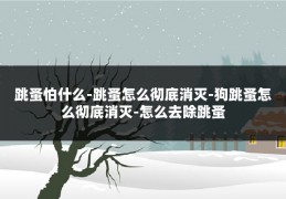 跳蚤怕什么-跳蚤怎么彻底消灭-狗跳蚤怎么彻底消灭-怎么去除跳蚤