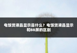 电饭煲液晶显示是什么?电饭煲液晶显示和88屏的区别