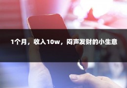 1个月，收入10w，闷声发财的小生意