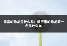 最宽的恐龙是什么龙?最厉害的恐龙第一名是什么龙