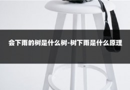 会下雨的树是什么树-树下雨是什么原理
