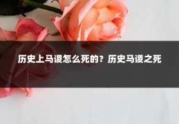 历史上马谡怎么死的？历史马谡之死