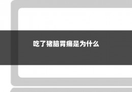 吃了猪脑胃痛是为什么