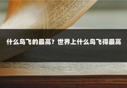 什么鸟飞的最高?世界上什么鸟飞得最高