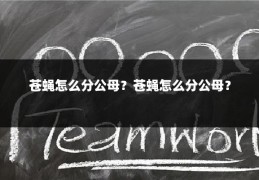 苍蝇怎么分公母?苍蝇怎么分公母?