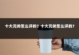 十大元帅怎么评的?十大元帅怎么评的?