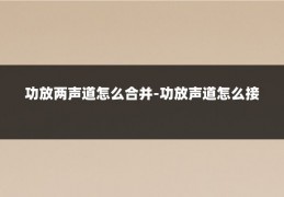 功放两声道怎么合并-功放声道怎么接