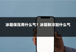 冰箱保压用什么气？冰箱制冷加什么气