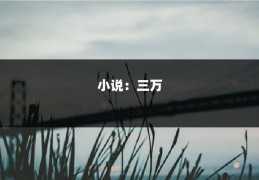 小说：三万