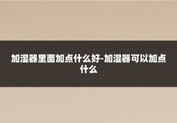 加湿器里面加点什么好-加湿器可以加点什么