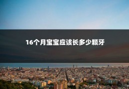 16个月宝宝应该长多少颗牙