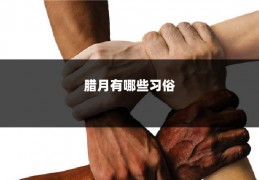 腊月有哪些习俗