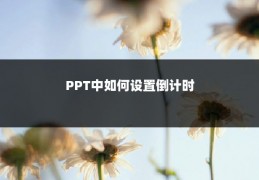 PPT中如何设置倒计时