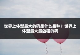 世界上体型最大的狗是什么品种?世界上体型最大最凶猛的狗