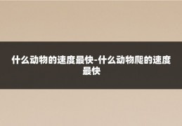 什么动物的速度最快-什么动物爬的速度最快
