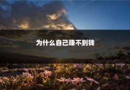为什么自己赚不到钱