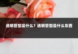 透明管型是什么？透明管型是什么东西