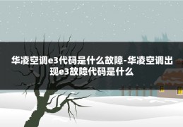 华凌空调e3代码是什么故障-华凌空调出现e3故障代码是什么