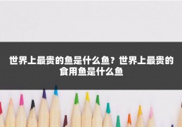 世界上最贵的鱼是什么鱼？世界上最贵的食用鱼是什么鱼