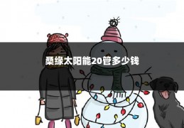 桑缘太阳能20管多少钱
